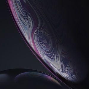 Meet your Posher, Francisco